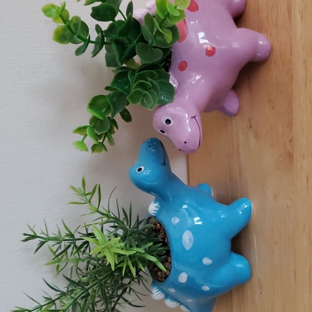Dinosaur Succulent Plants